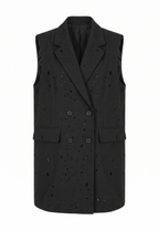 Stylish Vest only