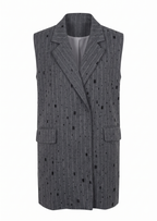 Stylish Vest only